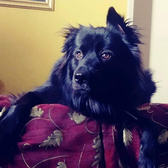 Meet your Posher, Winter - Picture 1 of 1